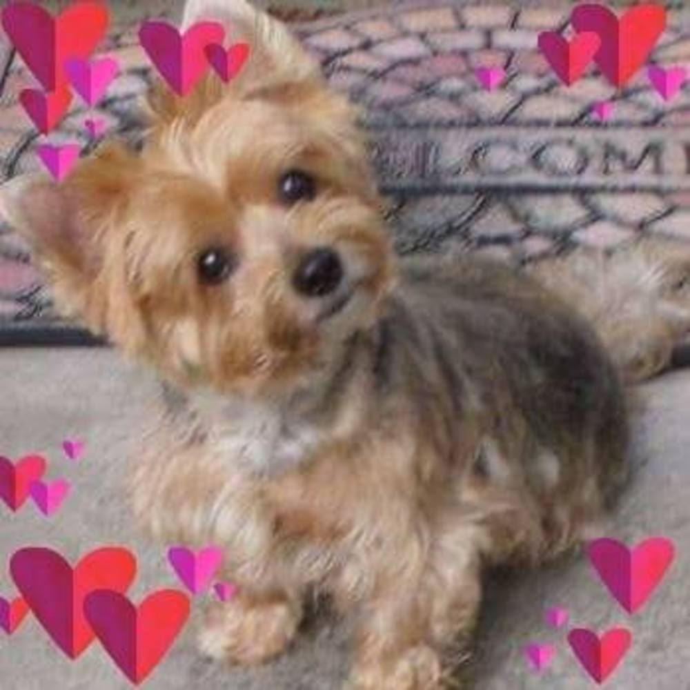 Meet your Posher, Keema